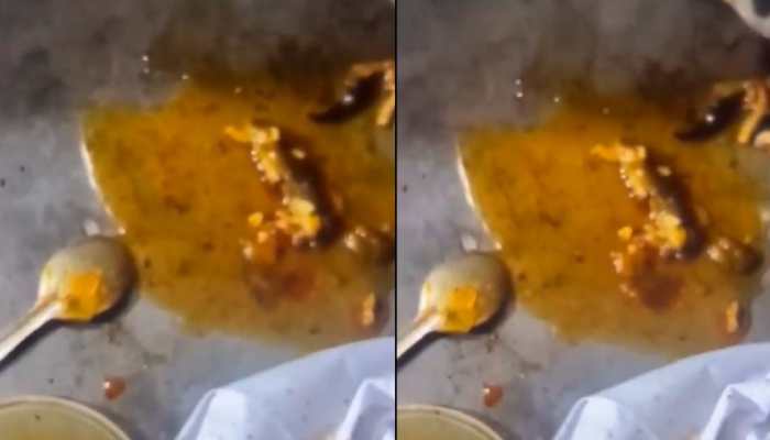 Viral Video: Meerut Man Falls Sick After ‘Lizard Found In Chicken Curry’ Ordered On A Famous Food Outlet 
