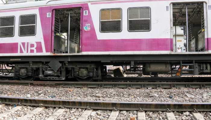 Viral Video: Woman Trapped In Train Washroom As 40 Men Storm Coach; RPF Rushes To Rescue