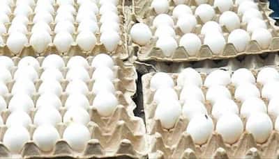 Fears Over Adulterated Eggs Spark Massive Food Safety Crackdown In Kashmir