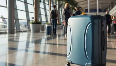 Trolley Bags to Buy This Season At End Of Reason Sale 