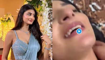 Payal Gaming MMS Video Sparks Controversy: Her Net Worth Is Rs 10,00,00