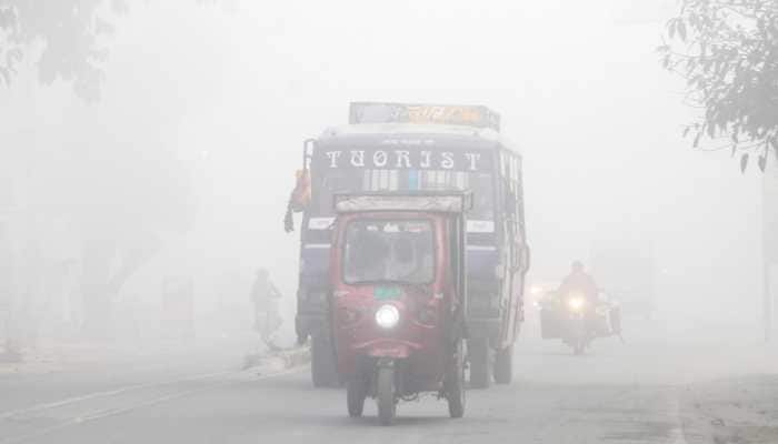 UP Fog Alert: Buses To Stop If Visibility Is Below 50m; Transport Dept Releases Tough Directive