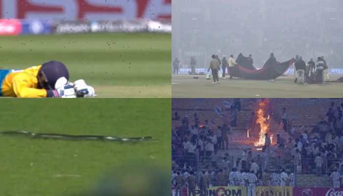 From Smog To Snakes: 10 Bizarre Reasons Cricket Matches Were Cancelled Or Halted Worldwide