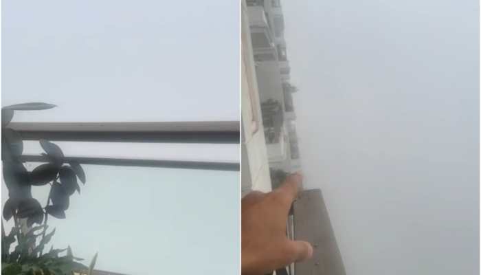 Luxury Flat Or Gas Chamber? Viral Video Of DLF Camellias 'Vanishing' In Smog Triggers A Massive Debate On Buying Property In Gurgaon