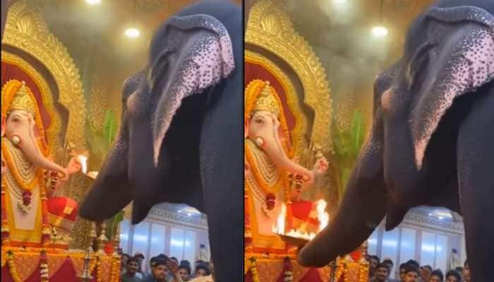 Viral Video Shows Elephant Performing Ganesha Aarti, Netizens Divided