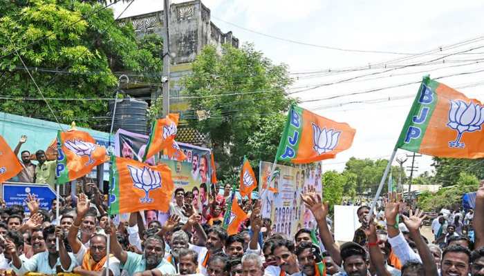 Maharashtra Local Body Election Results 2025: Mahayuti Takes Massive Lead, BJP Emerges as Single Largest Party, MVA Trails Far Behind