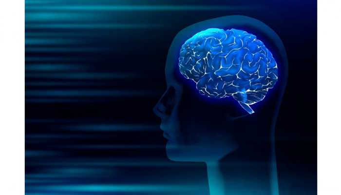 From IQ To EQ – How MyIQ.com Makes Intelligence Testing Feel Personal