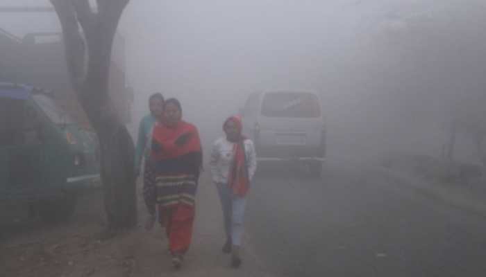 Ooty Shivers As Temperature Dips To -1 Degrees Celcius; Tourist Entry Banned Near Kamaraj Sagar Dam