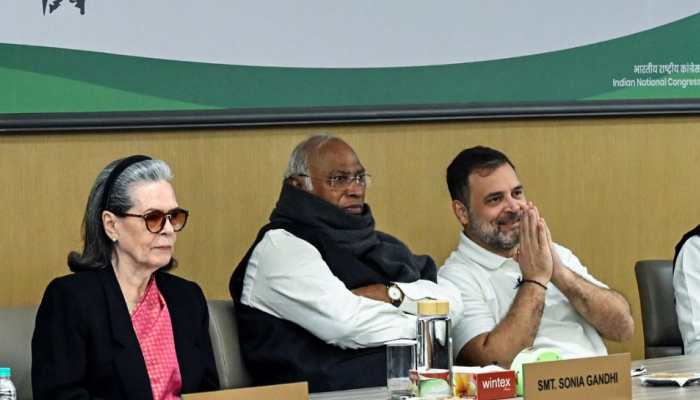 'MGNREGA Discontinuation', SIR, Hindus Lynching In Bangladesh - What Was Discussed In CWC Meeting? 