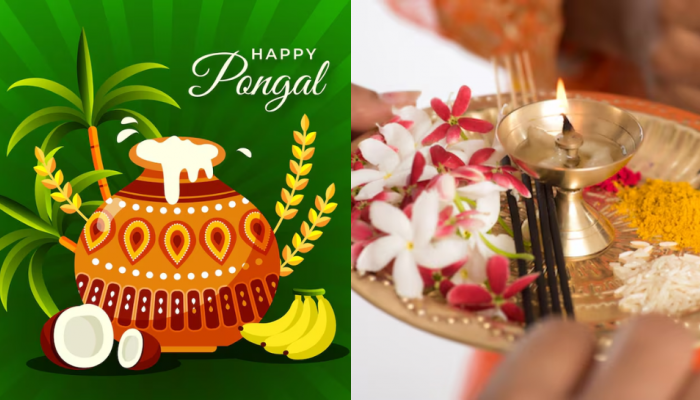 Pongal 2026: Happy Thai Pongal, 100+ English And Telugu Wishes ...