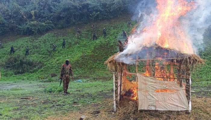 Security Forces Destroy 306 Acres Of Illegal Poppy Fields In Manipur