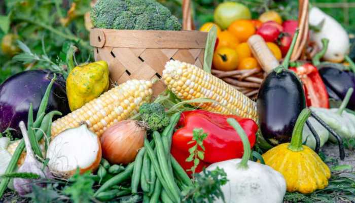 Why Does Malnutrition Remain 'Alive’ Even When Dal–Rice Fills Stomach?