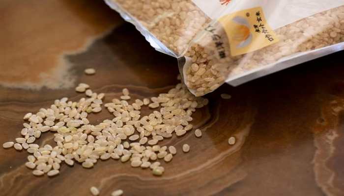 Rare Rice World’s most expensive rice: What makes Kinmemai Premium so rare and ...