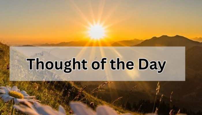 Thought of the Day by Sachin Tendulkar ‘People throw stones at you and you con