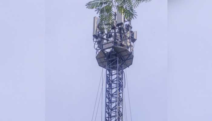 Total Bollywood drama: Bihar woman climbs mobile tower demanding lover's bail