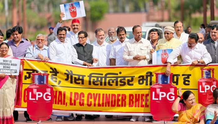 ‘Big problem coming’: Rahul warns Centre against ‘compromised energy security'