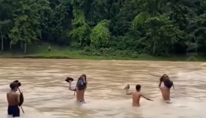 Not a movie scene: Meghalaya children brave strong currents to reach school