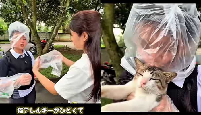 WATCH: Love knows no allergies - This viral cat video will melt your heart