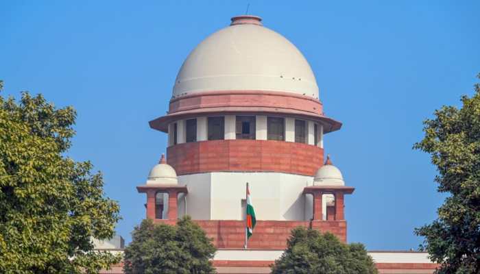 Voting and contesting elections are statutory rights, not fundamental: SC