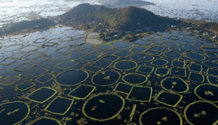 World’s only floating National Park: Inside Loktak Lake, the Jewel of Manipur