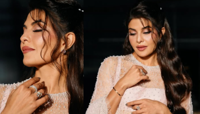 Actress Jacqueline Fernandes withdraws application for turning approver