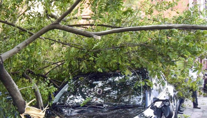 100 dead as deadly storms and lightning ravage Uttar Pradesh; Relief ops on