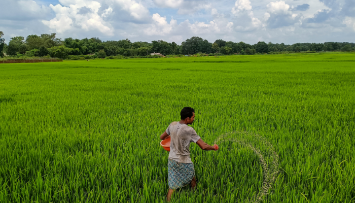 Investigation reveal diversion of subsidised farmers’ urea to plywood industry
