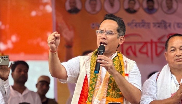 Congress working to rebuild organisation for next LS polls: Gaurav Gogoi