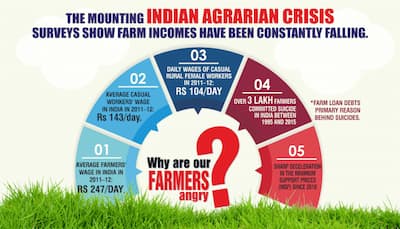 India's agrarian crisis: Why are our farmers angry? 