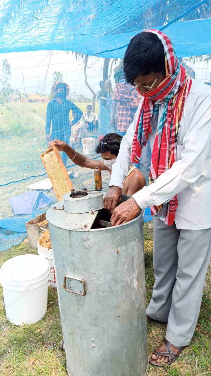 Sunderban, Sunderban honey